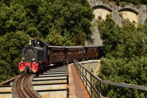 to-trainaki-toy-phlioy-gnoriste-apo-konta-thryliko-moytzoyri-1